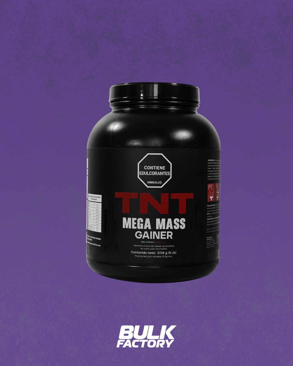 TNT MEGA MASS 6LB