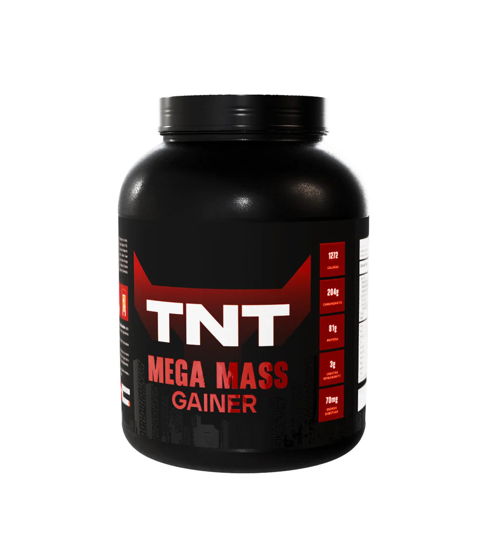 TNT MEGA MASS 6LB